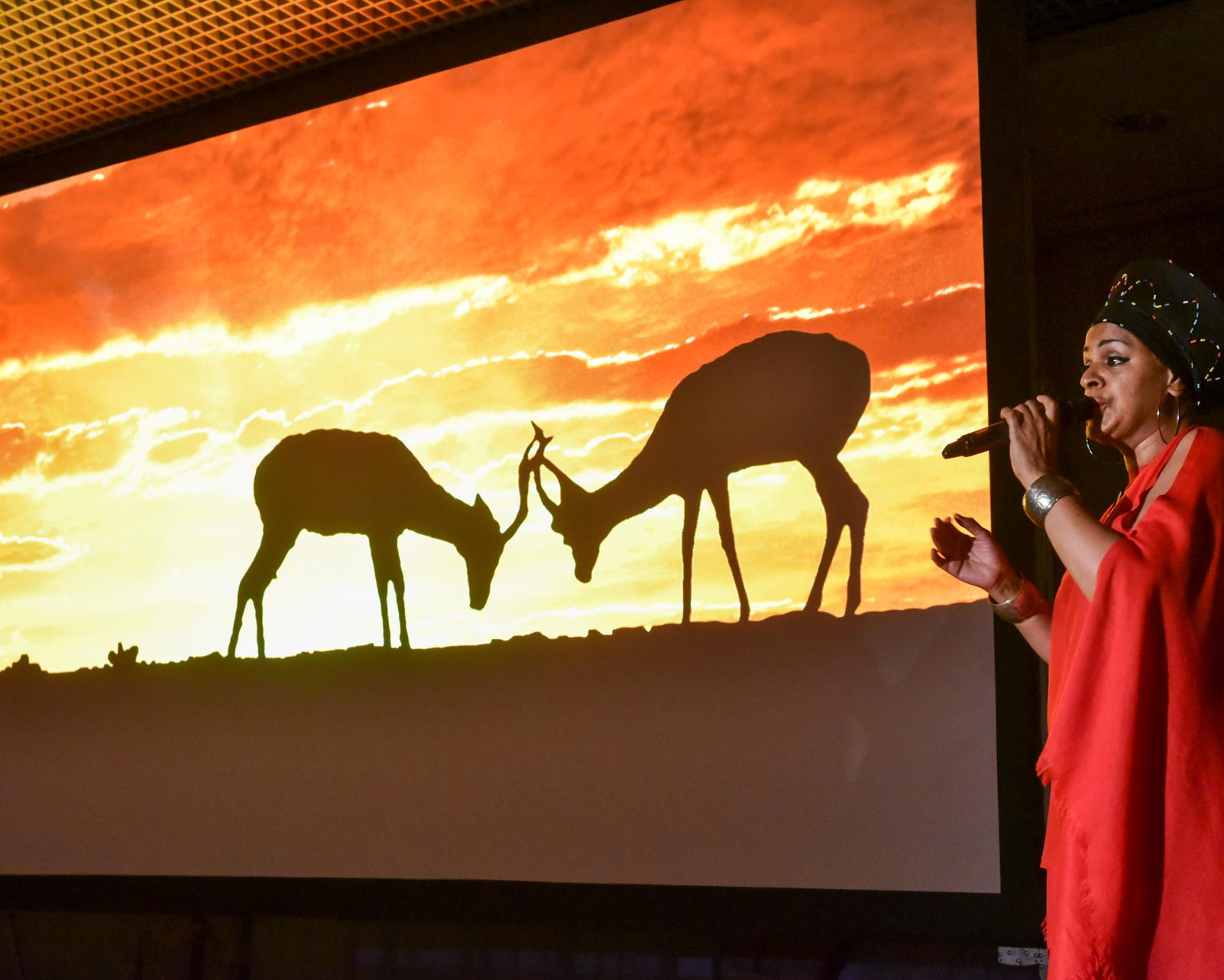 sicherheitsschuhe baak gorelax soziales engagement fly help Schule Spenden Veranstaltung Gesang König der Löwen