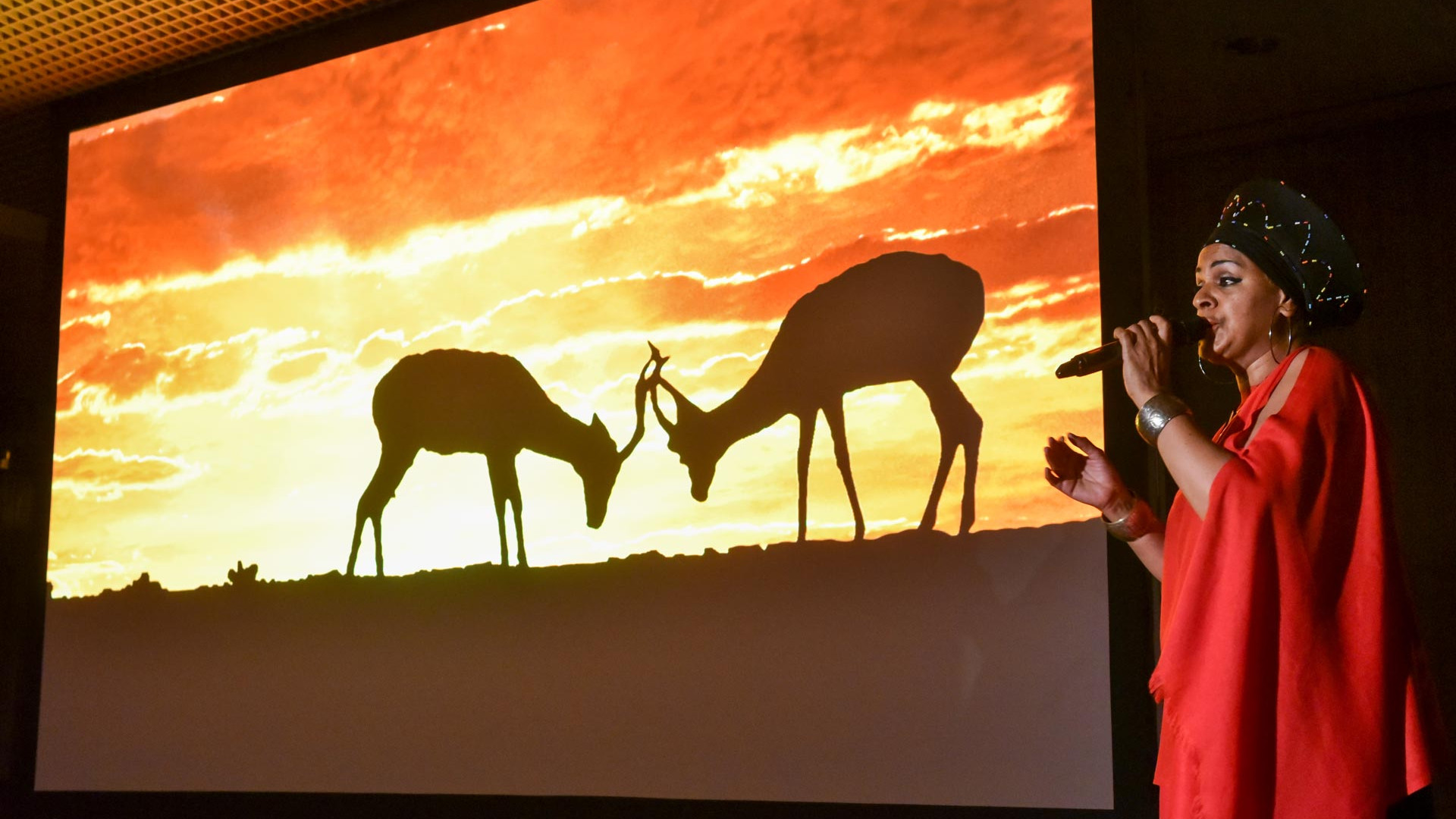 safety shoes baak gorelax social commitment fly help school donations event singing Lion King