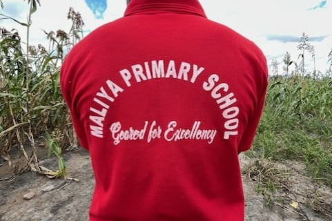 Lehrer steht auf dem Erntefeld